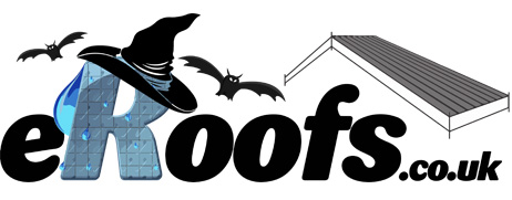 eRoofs_Logo