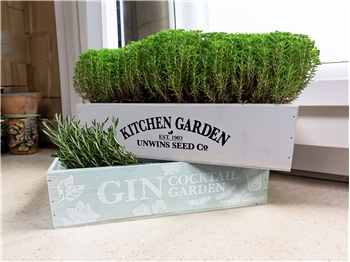 Gin Cocktail Garden Herb Planter (Set of Two)