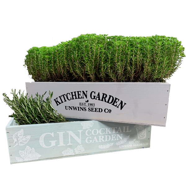 Gin Cocktail Garden Herb Planter (Set of Two)